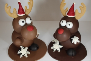 Montage renne taille 2